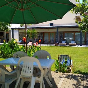 Beloni Apartments&Studios